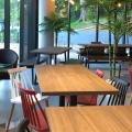 Collin's | Product Seen: [Choyu Side Chair]